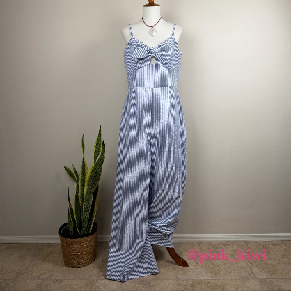 Anthropologie Hutch Savannah Striped Jumpsuit